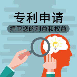 专业专利申请服务公司